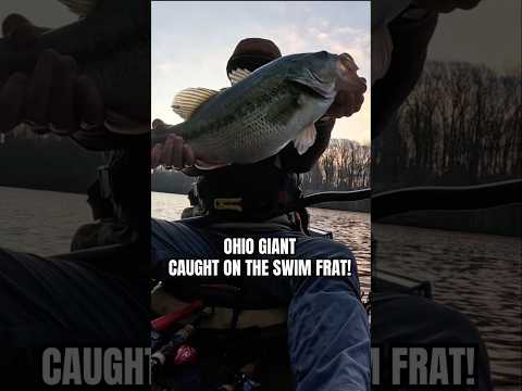 Almost 9 pounds on the SwimFrat