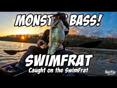 Most versatile soft bait?