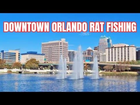 Downtown Orlando 1-piece