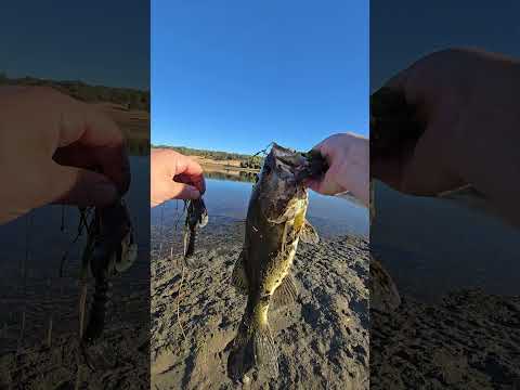 4-pounder in the mud