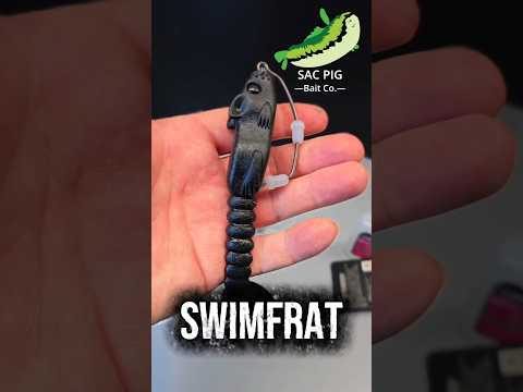This floating rat swims
