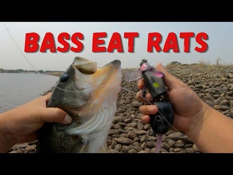 The wakebait you have not seen