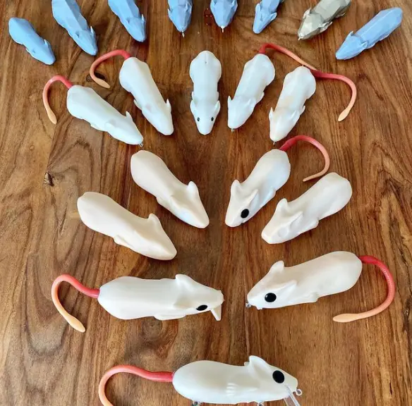 Prototype SacPig rat lures from the Bass Love Rats garage years