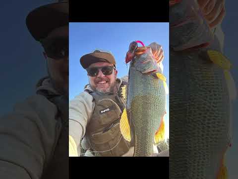 First fish on the Go